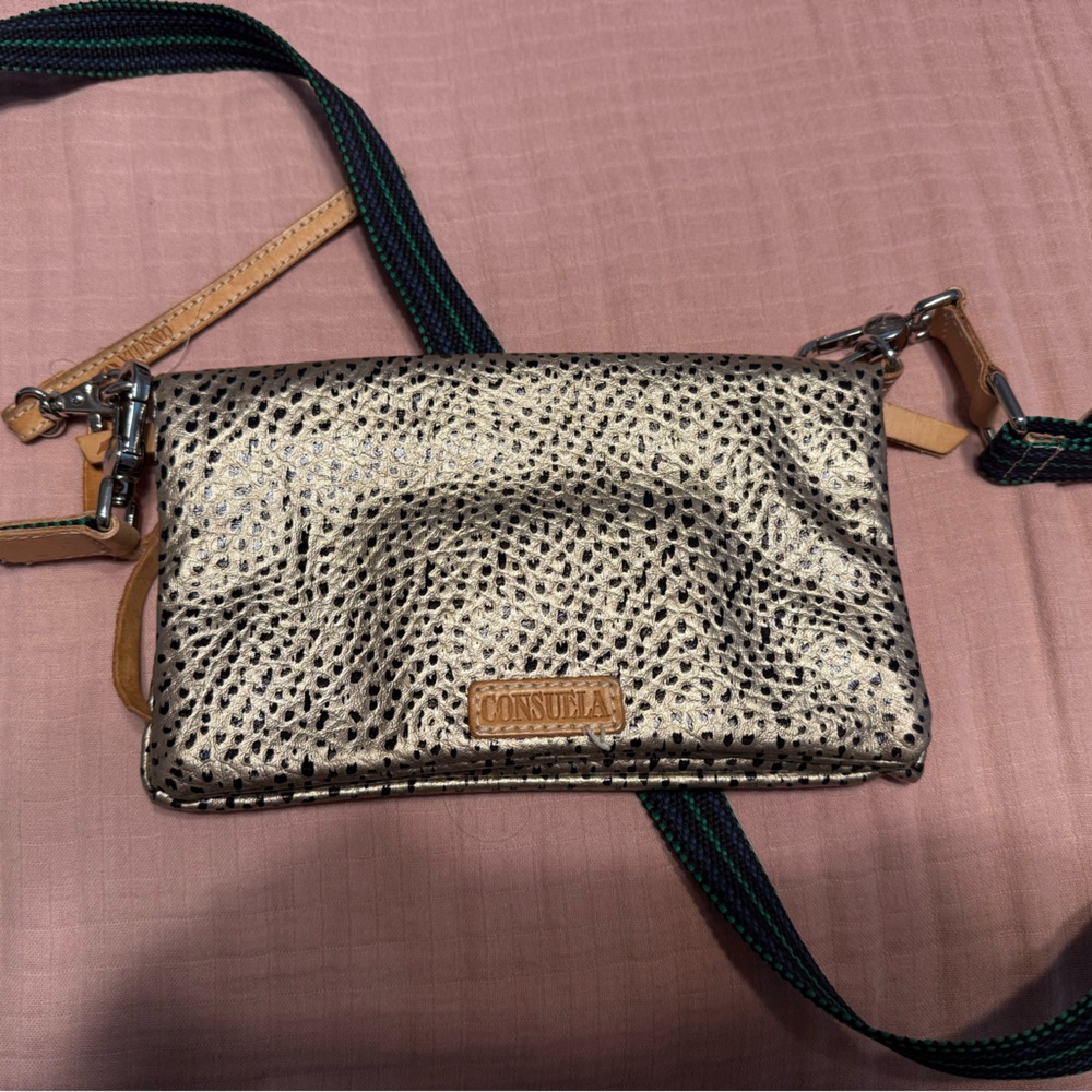 Consuela Wesley Uptown -Metallic Crossbody Bag with Multi-colored Strap